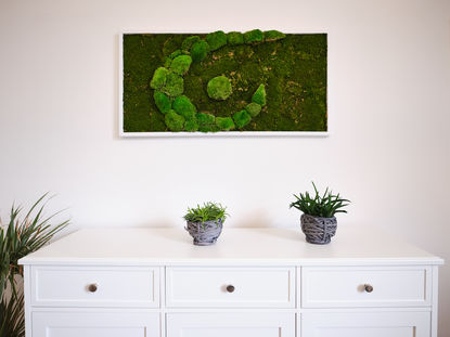 Büro der Steuerberatung für Heilberufe | Terworth & Partner